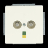 Busch-Jaeger Potentialausgleich 2-fach Unterputz, Dose Retail