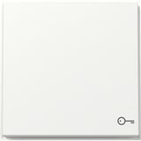 Gira Wippe mit Symbol Tür weiß, Retail