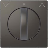 Merten Zentralplatte Rolltast-Rastschalter Einsatz Thermoplast lackiert matt anthrazit, Retail