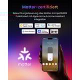 SwitchBot Floor Lamp smarte Stehlampe, LED-Lampe schwarz