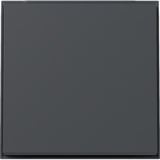 Gira Wippe mit Diebstahlschutz durch optional verschraubbares Klemmstück anthrazit, Retail