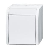 Busch-Jaeger Ausschalter 2601/2 W-54 weiß (matt), Retail