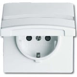 Busch-Jaeger Schutzkontakt-Steckdoseneinsatz Typ F 20 EUGKBN-32-101 Retail