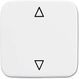 Busch-Jaeger Wippe Jalousietaster zweiteilige Wippe mit Symbol Pfeile weiß, Retail