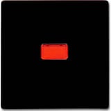 Busch-Jaeger Wippe Kontroll-Wechsel braun, Retail