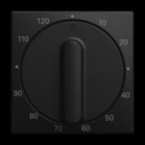 Busch-Jaeger Zentralscheibe schwarz, Retail