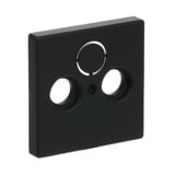 Busch-Jaeger Zentralscheibe matt für Antennendose 2-Loch, Typ 1743-885, Kunststoff, Unterputz, Zentralplatte schwarz (matt), Retail