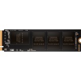 Corsair MP700 2 TB, SSD schwarz, PCIe 5.0 x4, NVMe 2.0, M.2 2280