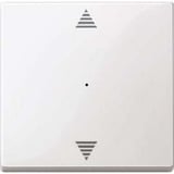 Merten Wippe für Tastermodul einfach, glänzend, Thermoplast, System M, Typ 619419 weiß (glänzend), Retail