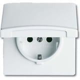 Busch-Jaeger Schutzkontakt-Steckdoseneinsatz CEE 7/3 Typ F einphasig Retail