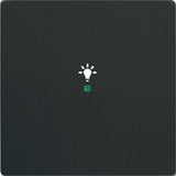 Busch-Jaeger Wippe future linear schwarz, Retail