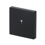 Busch-Jaeger Wippe future linear schwarz, Retail