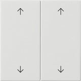 Gira Wippe zwei fach weiß, Retail