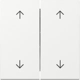 Gira Wippe zweifach mit Pfeilsymbolen, Abdeckung weiß, Retail