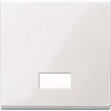 Merten Wippe mit Symbolfenster rechteckig, Kontrollschalter- und Taster-Einsatz, Typ 432819 weiß (glänzend), Retail