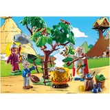 PLAYMOBIL 70933 Asterix: Miraculix mit Zaubertrank, Konstruktionsspielzeug 