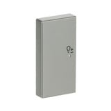 Busch-Jaeger Wippe Edelstahl edelstahl, Retail