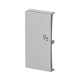 Busch-Jaeger Wippe Edelstahl edelstahl, Retail