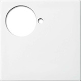 Busch-Jaeger Zentralscheibe alpinws, Zentralplatte weiß, Retail