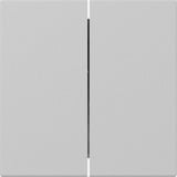 Gira Wippe zweifach gerade stehend lackiert matt grau, Retail