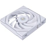 Lian Li UNI FAN TL140, Gehäuselüfter weiß, 144 mm