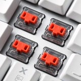Sharkoon PureWriter TKL RGB, Gaming-Tastatur weiß, US-Layout, Kailh Choc Low Profile Red