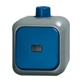 Busch-Jaeger Kontrollwechselschalter 2601/6 Schalter mit Wippe und Kontrollleuchte grau, Retail