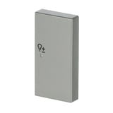 Busch-Jaeger Wippe Edelstahl edelstahl, Retail