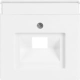 Busch-Jaeger Zentralscheibe Datenanschlussdose mit schrägem Auslass und Beschriftungsfeld 1803-84, Abdeckung weiß (glänzend), Retail