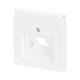 Busch-Jaeger Zentralscheibe Datenanschlussdose mit schrägem Auslass und Beschriftungsfeld 1803-84, Abdeckung weiß (glänzend), Retail