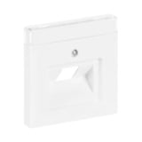 Busch-Jaeger Zentralscheibe Datenanschlussdose mit schrägem Auslass und Beschriftungsfeld 1803-84, Abdeckung weiß (glänzend), Retail