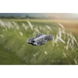 DJI Neo 2 Fly More Combo, Drohne grau, 12 Megapixel, 2-Achsen-Gimbal, inkl. 3 Akkus und Ladegerät