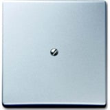 Busch-Jaeger Blindzentralscheibe mit Tragring, Blende Retail