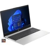 HP 255 G10 (9B9B9EA), Notebook silber, AMD Ryzen 5 7530U, AMD Radeon Graphics, 16 GB DDR4, 512 GB (512 GB SSD), Windows 11 Pro 64-Bit