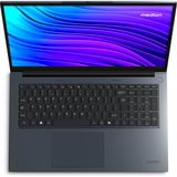 Medion E17433 (MD62672), Notebook grau, Intel® Core™ i5-13420H, Intel® UHD Graphics, 16 GB DDR4, 512 GB (512 GB SSD), Windows 11 Home 64-Bit