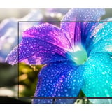 Medion LIFE MD 865602, QLED-Fernseher 163.9 cm (65 Zoll), schwarz, UltraHD/4K, Triple Tuner