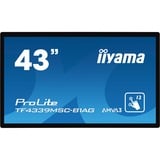 iiyama TF4339MSC-B1AG, Public Display schwarz, Touchscreen, AMVA3, FullHD