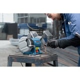 Bosch Professional GBG 35-15 Professional, Doppelschleifer blau/schwarz, 350 Watt