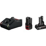 Bosch Professional PRO Starter-Set 12V (1x GBA 12V 2.0Ah + 1 x GBA 12V 4.0Ah + GAL 12V-40 Professional) schwarz, 2x Akku + Ladegerät