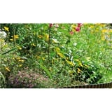 GARDENA Beeteinfassung, 15cm hoch, Begrenzung braun