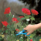 GARDENA Rosengreifschere, Gartenschere türkis, 4 Funktionen
