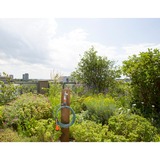 GARDENA city gardening Terrassen-Spiralschlauch grau/türkis, 7,5 Meter