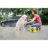 52 Best Pictures The Pet Set - The Pet Set Uberraschungsbad Fur Kinder Bomb Cosmetics