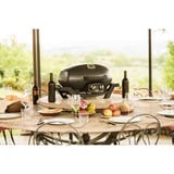 Napoleon Gasgrill TravelQ PRO285 schwarz