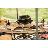 Napoleon Gasgrill TravelQ PRO285 schwarz