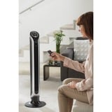 Rowenta Turmventilator VU 6670 FO silber/schwarz