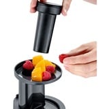 Severin Slow Juicer ES 3571, Entsafter silber, 150 Watt, Saftbehälter 1 Liter