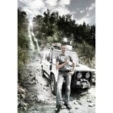 Wera 8767 C HF 3 Zyklop Bitnuss-Satz Sechsrund, Bit-Satz 9-teilig, 1/2", T20 bis T60, mit Haltefunktion