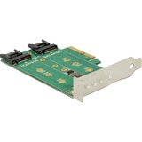 DeLOCK PCI Express Karte > 3 x M.2 Slot, Controller 