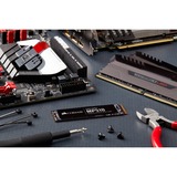 Corsair Force MP510B 480 GB, SSD schwarz, PCIe 3.0 x4, NVMe, M.2 2280